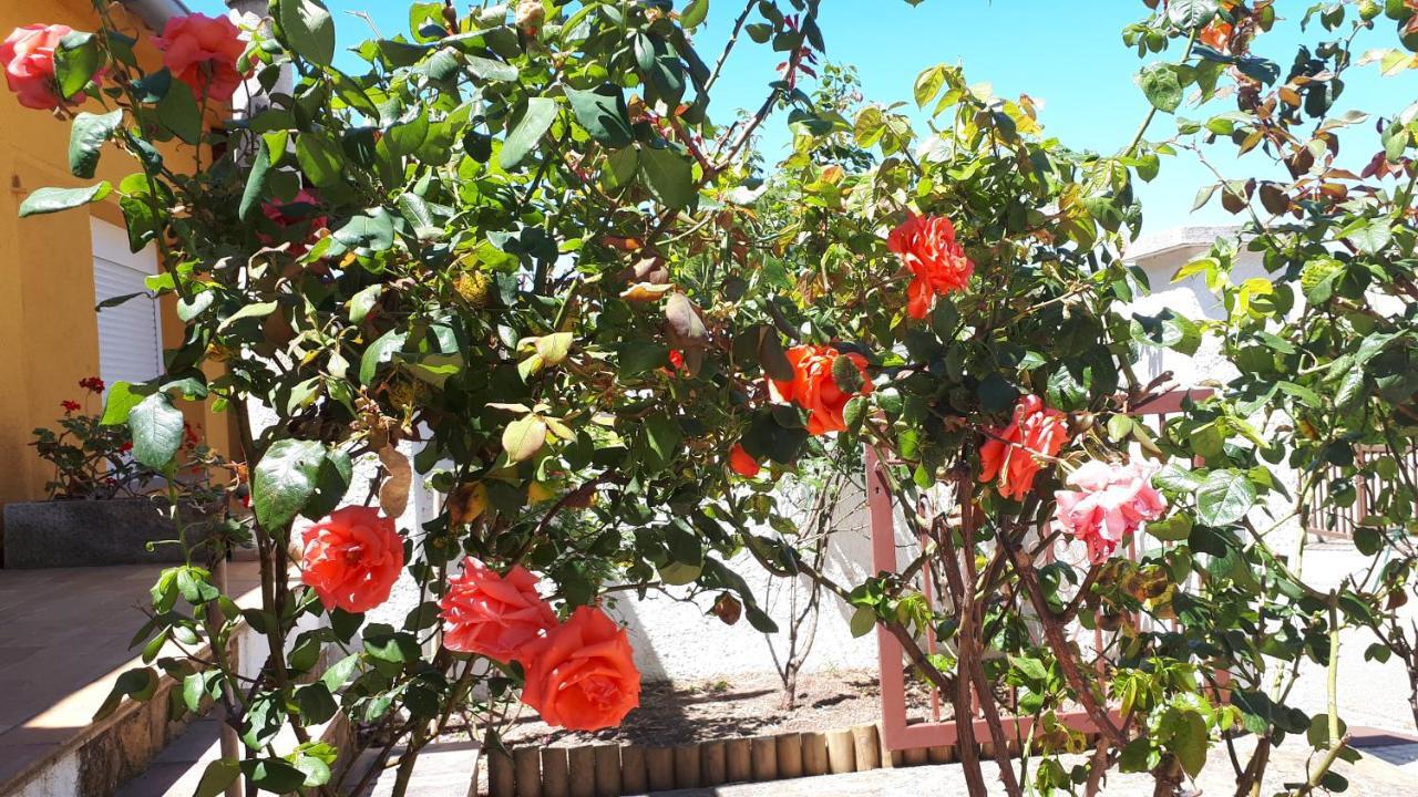 Casa Els Rosers Wifi L' Escala Bagian luar foto